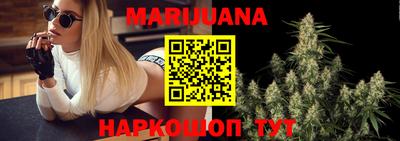 сатива Конаково