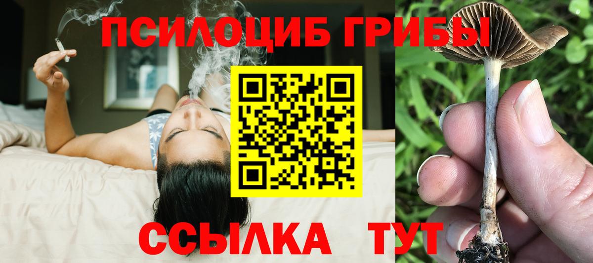 Галлюциногенные грибы GOLDEN TEACHER Кострома